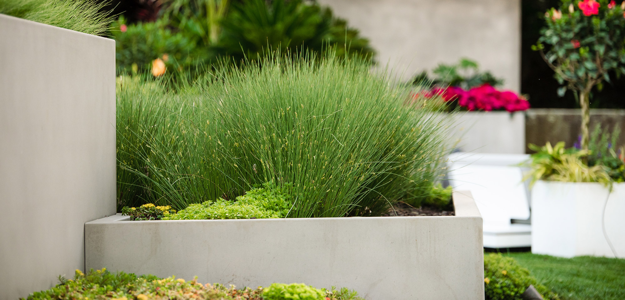 Custom flower boxes by OEG